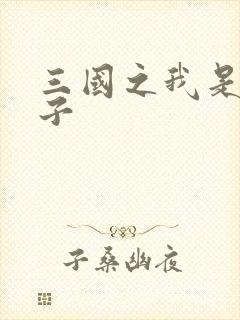 三国之我是皇太子