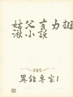 姑父有力挺送徐湫小说