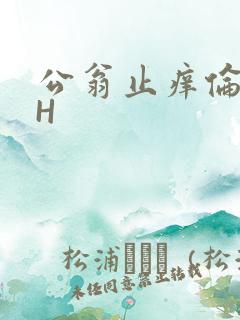 公翁止痒伦理DH