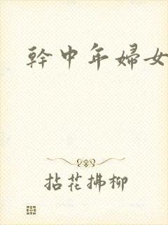 干中年妇女小说