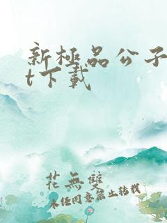 新极品公子txt下载