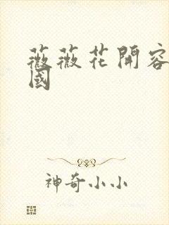 薇薇花开容颜倾国