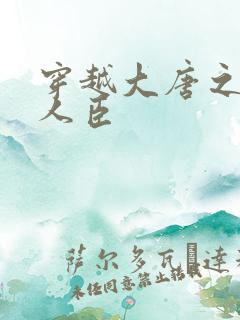 穿越大唐之位极人臣