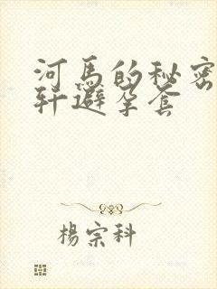 河马的秘密河文轩避孕套