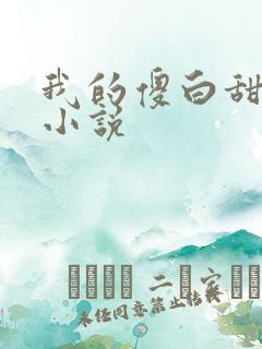 我的傻白甜老婆小说