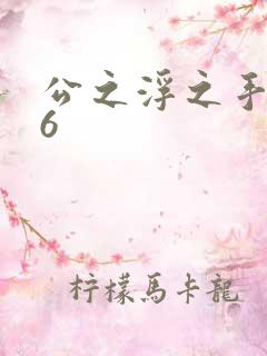 公之浮之手中字6