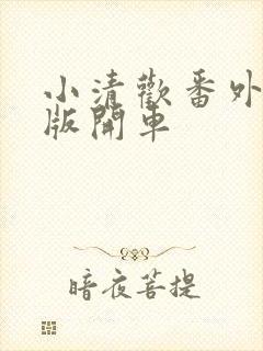 小清欢番外完整版开车