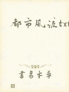 都市风流txt
