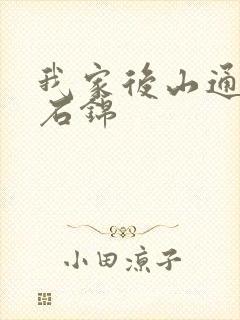 我家后山通仙界石锦