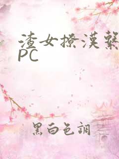 渣女撩汉系统NPC
