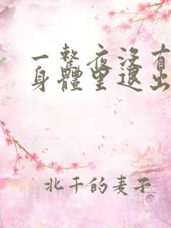 一整夜没有从你身体里退出来