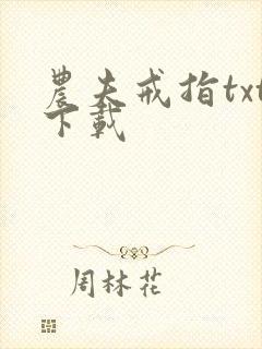 农夫戒指txt下载