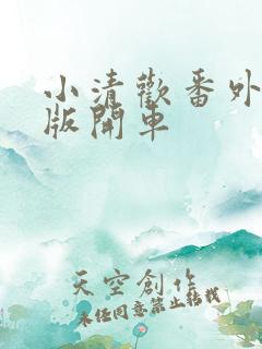 小清欢番外完整版开车