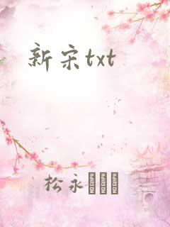 新宋txt