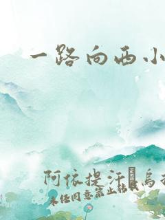 一路向西小说