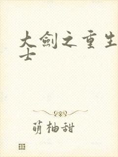 大剑之重生圣骑士