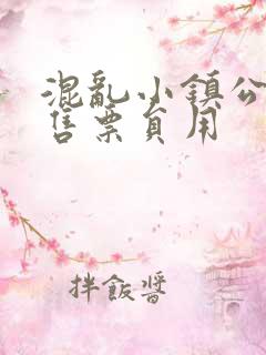 混乱小镇公交车售票员用