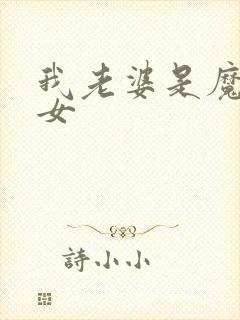 我老婆是魔法少女