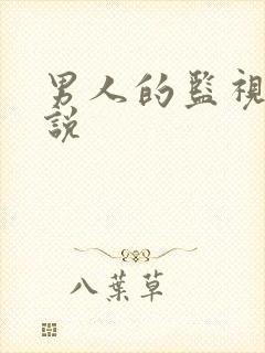 男人的监视下小说