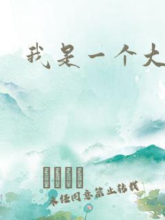 我是一个大盗贼