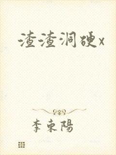 渣渣洞硬x