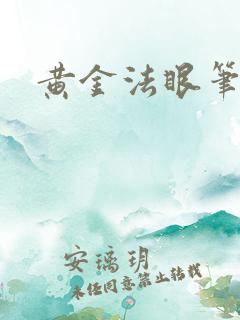 黄金法眼笔趣阁