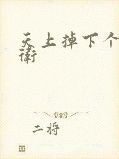 天上掉下个影卫卫