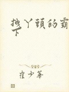 拽丫头的霸道殿下