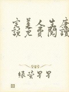 完美人生唐诚小说免费阅读