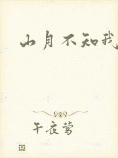 山月不知我心事