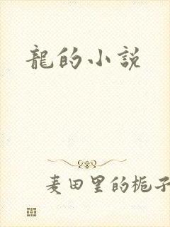 龙的小说