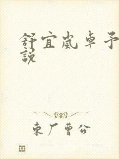 舒宜岚卓予淮小说