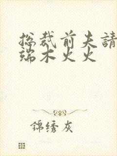 总裁前夫请自重端木火火