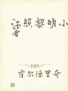 江照黎明小说原著