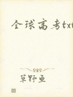 全球高考txt