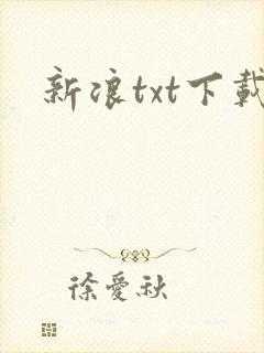 新浪txt下载