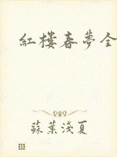 红楼春梦全集