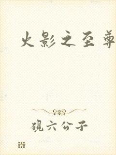 火影之至尊邪帝