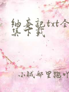 纳妾记txt全集下载