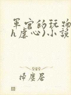 军官的玩物(高h虐心)小说