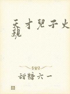 天才儿子火爆娘亲