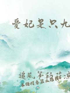 爱妃是只九尾猫