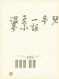 温柔一梦儿媳林梦小说