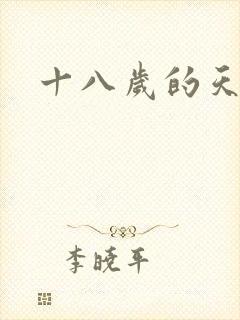 十八岁的天空续