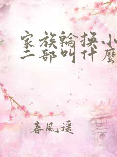 家族轮换小说第二部叫什么名字