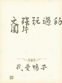 文强玩过的女人图片