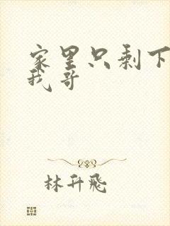 家里只剩下我和我哥