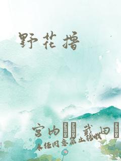 野花撸