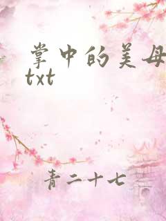 掌中的美母版主txt
