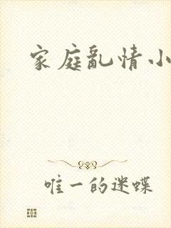 家庭乱情小说